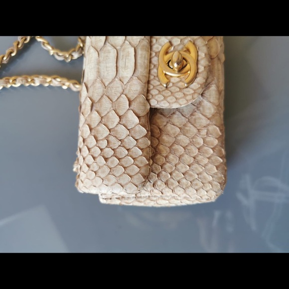 Chanel Mini Python Bag - Picture 3 of 8